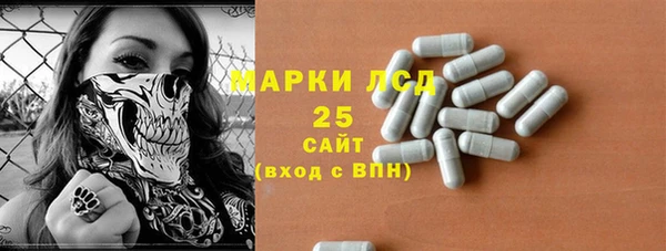 винт Лабытнанги
