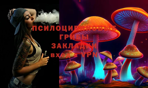 jwh Ладушкин