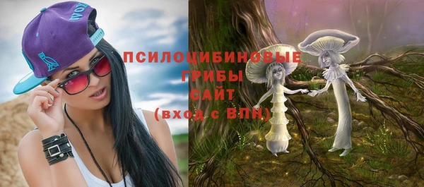 винт Лабытнанги