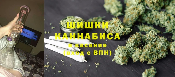 винт Лабытнанги