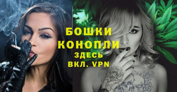 винт Лабытнанги