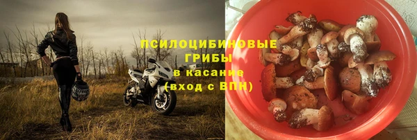 jwh Ладушкин