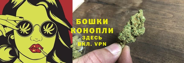 винт Лабытнанги