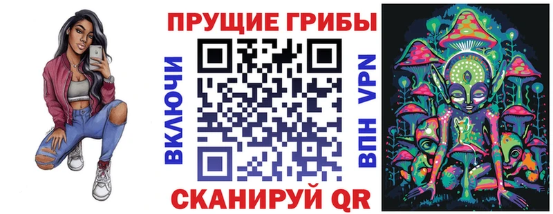 Галлюциногенные грибы Psilocybe  как найти   kraken tor  Минусинск 